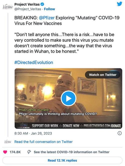 辉瑞高管 爆料新闻视频,揭秘疫苗研发内幕与行业真相